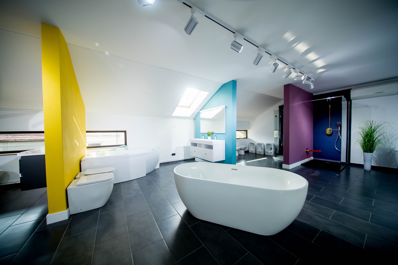 Showroom Dexcalor Photo